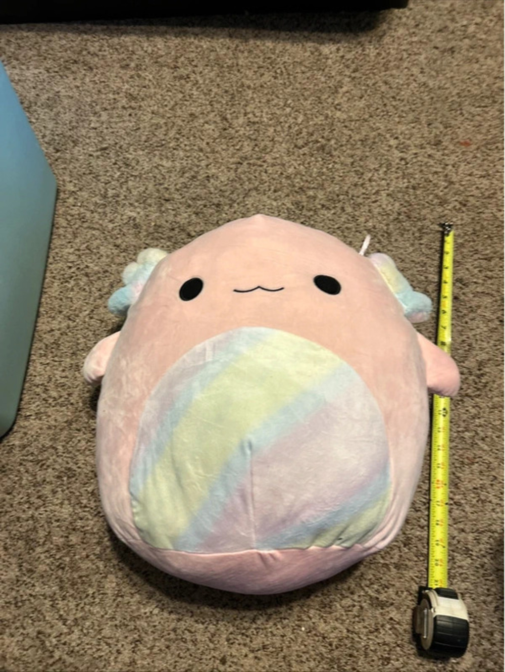 Large squishmallow Archie the rainbow axolotl
